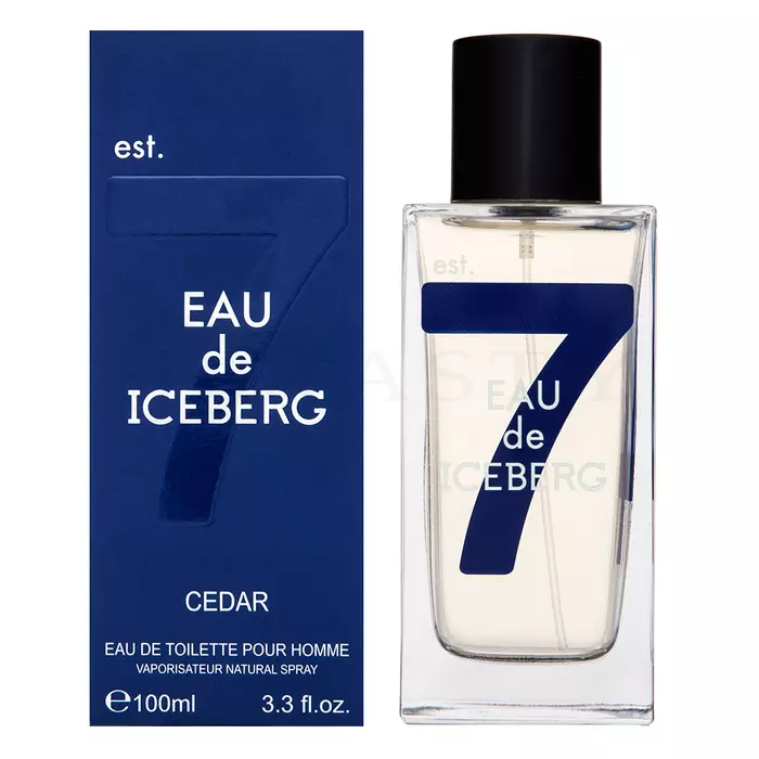Iceberg Eau de Iceberg Cedar Eau de Toilette bărbați 100 ml