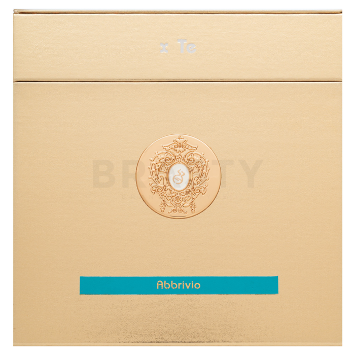 Tiziana Terenzi Abbrivio čistý parfém unisex 100 ml