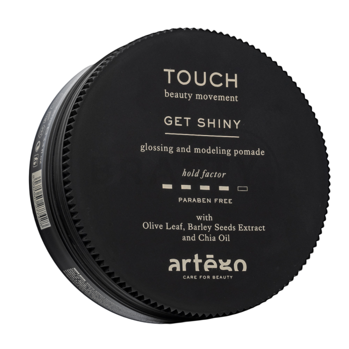 Artègo Touch Get Shiny Glossing And Modeling Pomade pomada za kosu za sjaj kose 100 ml