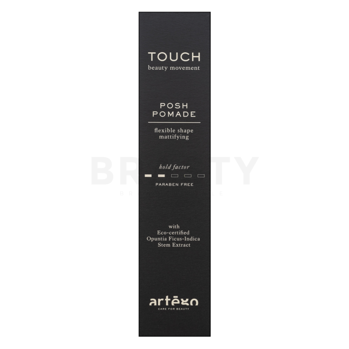 Artègo Touch Posh Pomade Flexible Shape Mattifying pomada za lase za mat učinek 100 ml