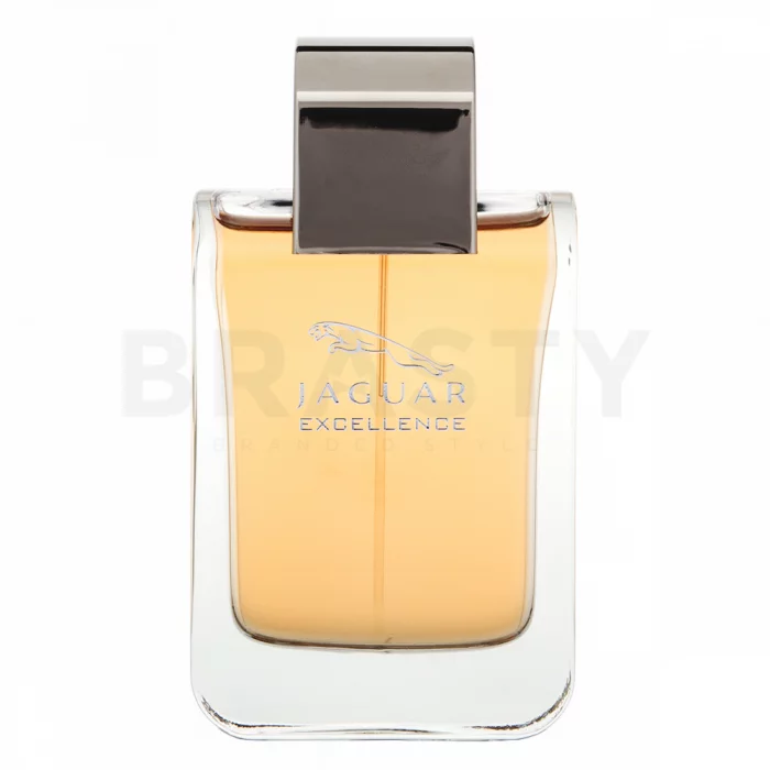 Jaguar Jaguar Excellence Men toaletní voda pro muže 100 ml