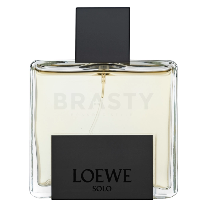 Loewe Solo Loewe Mercurio parfémovaná voda pro muže 100 ml
