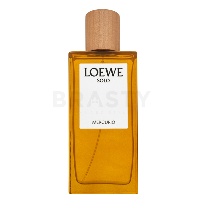 Loewe Solo Mercurio parfémovaná voda pro muže 100 ml