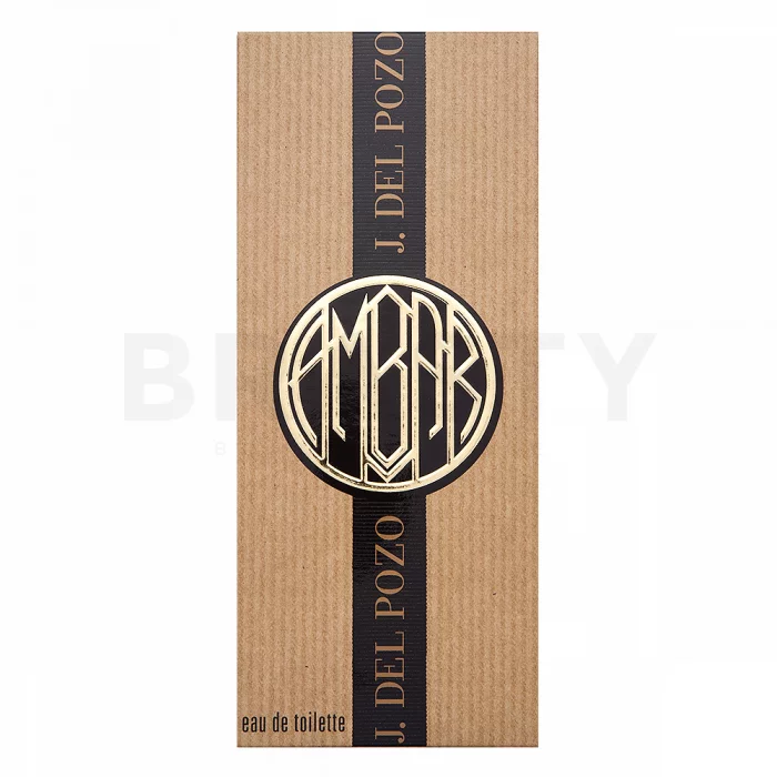 Jesus Del Pozo Ambar toaletní voda pro ženy 100 ml