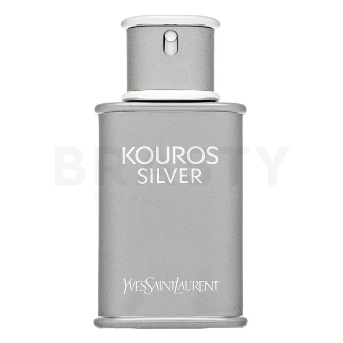 Yves Saint Laurent Kouros Silver toaletní voda pro muže 50 ml