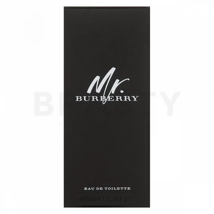 Burberry Mr. Burberry toaletní voda pro muže 100 ml