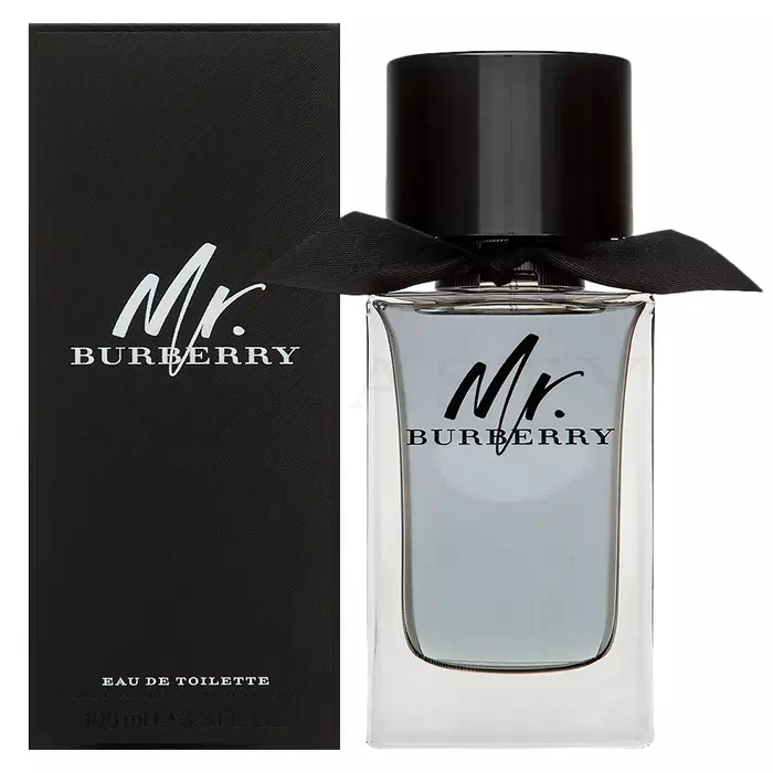 Burberry Mr. Burberry toaletní voda pro muže 100 ml