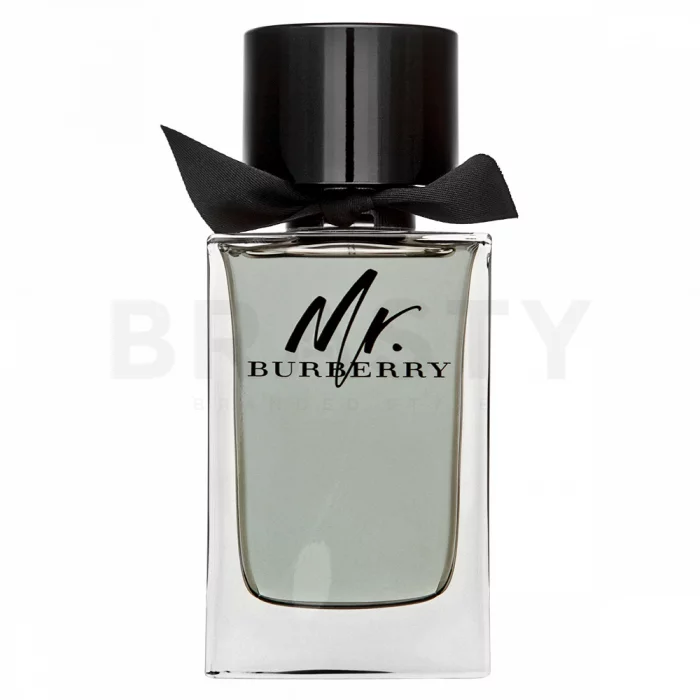 Burberry Mr. Burberry toaletní voda pro muže 150 ml