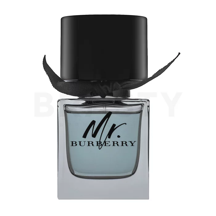 Burberry Mr. Burberry toaletní voda pro muže 50 ml