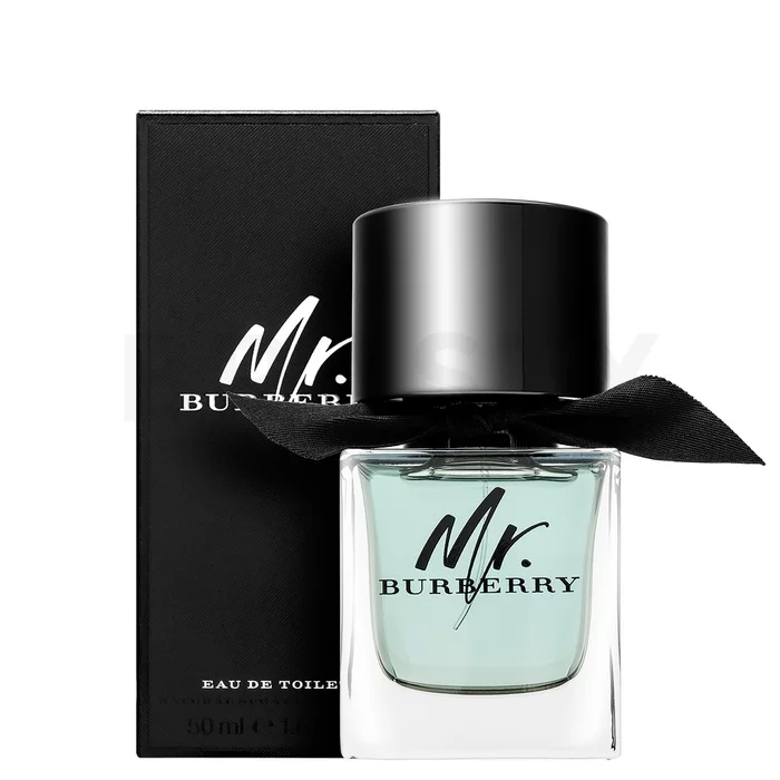 Burberry Mr. Burberry toaletní voda pro muže 50 ml