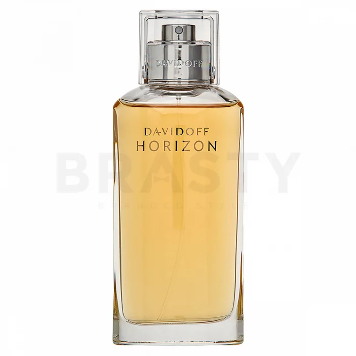 Davidoff Horizon toaletná voda pre mužov 125 ml