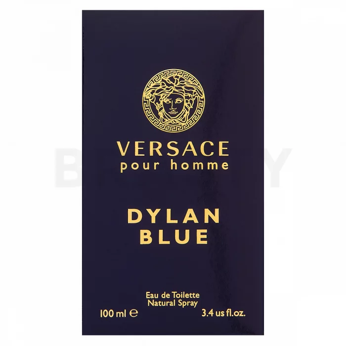 Versace Dylan Blue toaletní voda pro muže 100 ml