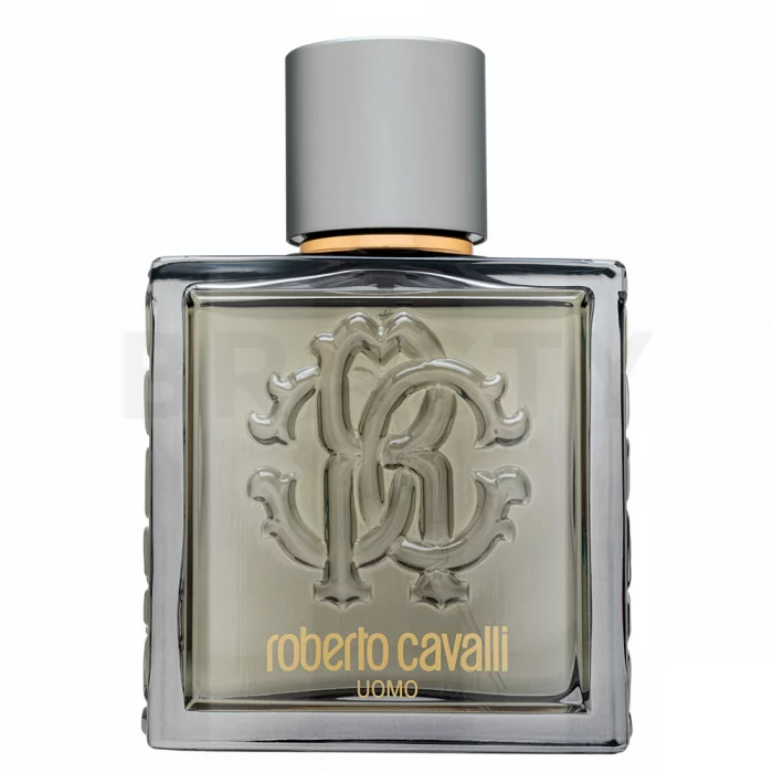 Roberto Cavalli Uomo Silver Essence toaletní voda pro muže 100 ml