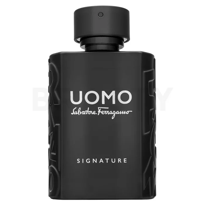 Salvatore Ferragamo Uomo Signature parfémovaná voda pro muže 100 ml
