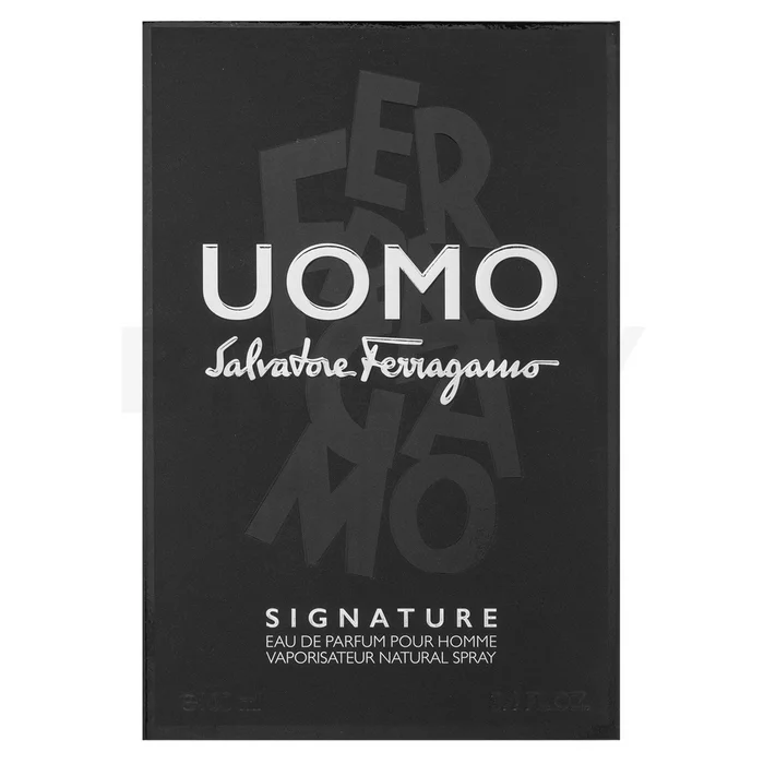 Salvatore Ferragamo Uomo Signature parfémovaná voda pro muže 100 ml