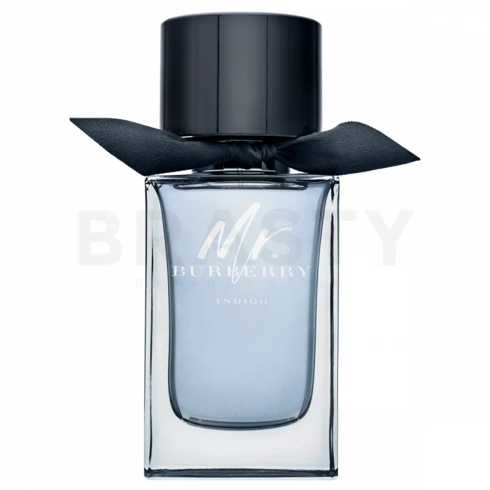 Burberry Mr. Burberry Indigo toaletní voda pro muže 100 ml