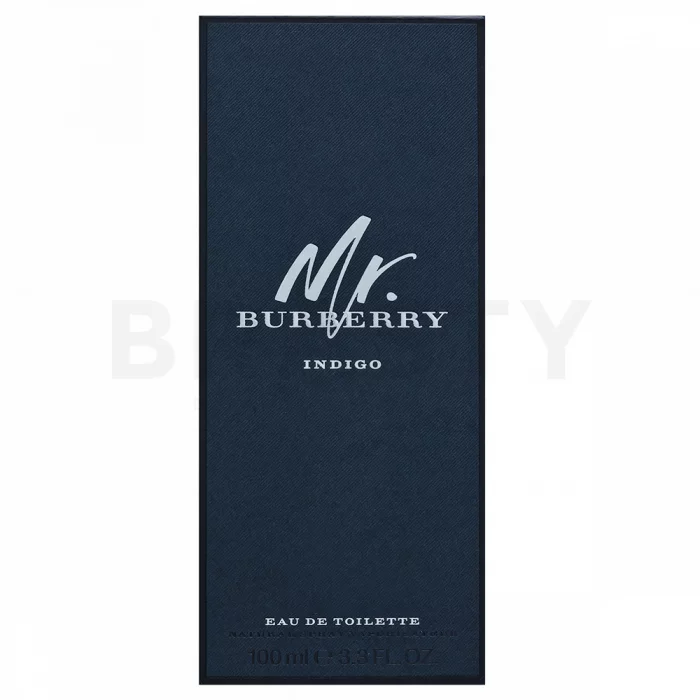 Burberry Mr. Burberry Indigo toaletní voda pro muže 100 ml