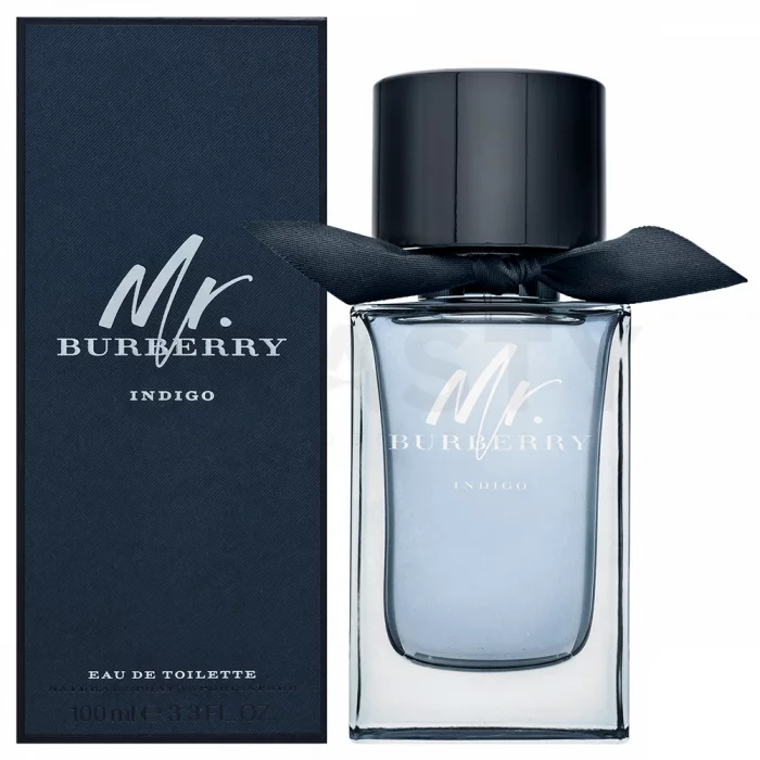 Burberry Mr. Burberry Indigo toaletní voda pro muže 100 ml