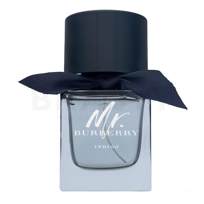 Burberry Mr. Burberry Indigo toaletní voda pro muže 50 ml