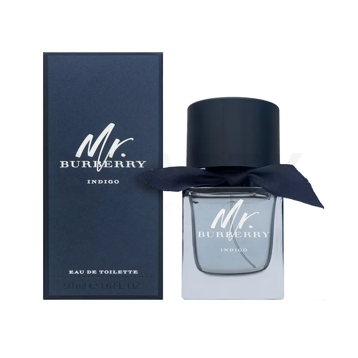 Burberry Mr. Burberry Indigo toaletní voda pro muže 50 ml