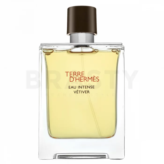 Hermès Terre D'Hermes Eau Intense Vetiver Eau de Parfum für Herren 100 ml