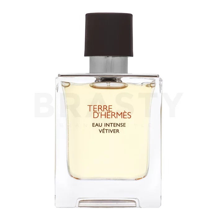 Hermès Terre D'Hermes Eau Intense Vetiver parfumirana voda za moške 50 ml