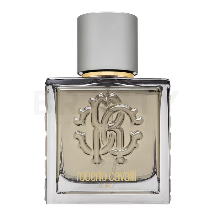 Roberto Cavalli Uomo Silver Essence toaletní voda pro muže 60 ml