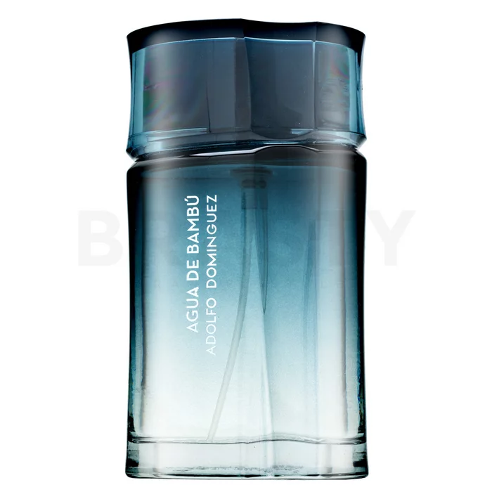 Adolfo Dominguez Agua de Bambu toaletní voda pro muže 120 ml